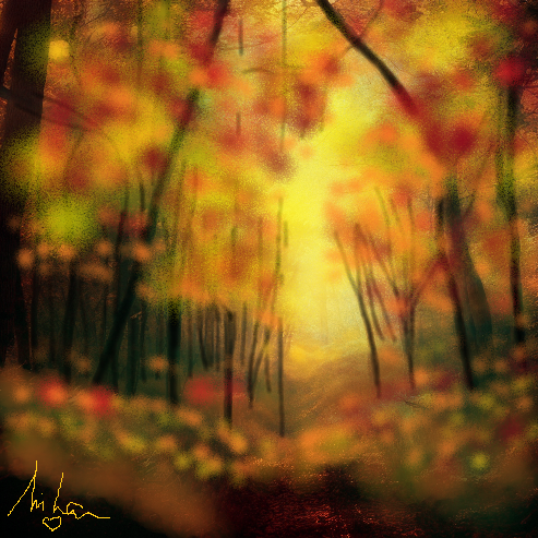 AUTOMNE FOREST